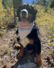 Load image into Gallery viewer, Ponderosa Bandana - Reversible