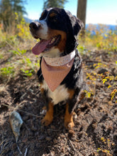 Load image into Gallery viewer, Ponderosa Bandana - Reversible