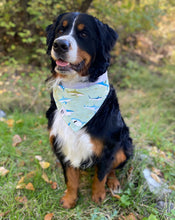 Load image into Gallery viewer, Pacific Shark Bandana - Reversible
