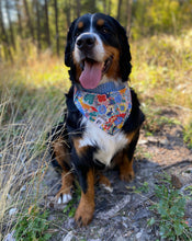 Load image into Gallery viewer, Adora Bandana - Reversible