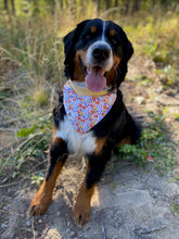 Load image into Gallery viewer, Alice Bandana - Reversible