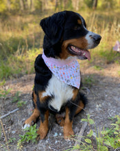 Load image into Gallery viewer, Secret Garden Bandana - Reversible