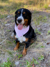 Load image into Gallery viewer, Secret Garden Bandana - Reversible