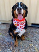Load image into Gallery viewer, To the Rescue Bandana - Reversible