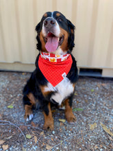 Load image into Gallery viewer, To the Rescue Bandana - Reversible