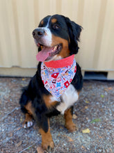 Load image into Gallery viewer, Health Heroes Bandana - Reversible