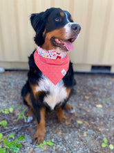 Load image into Gallery viewer, Health Heroes Bandana - Reversible