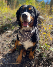 Load image into Gallery viewer, Pacific Cedar Bandana
