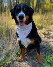 Load image into Gallery viewer, Dandelions Bandana - Reversible
